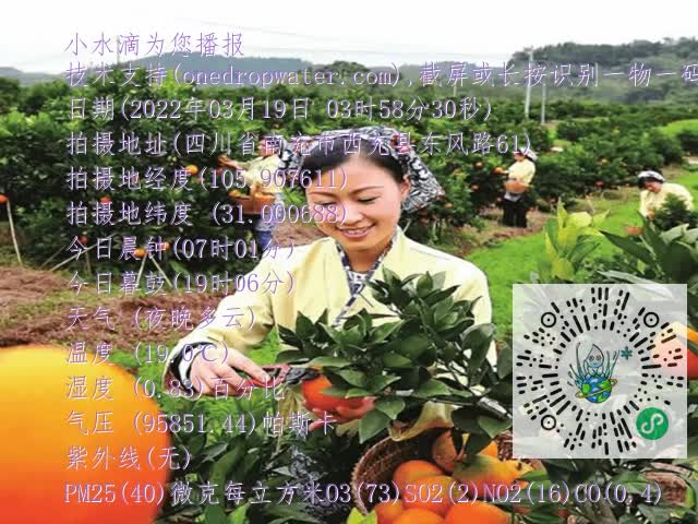 860123d0b263d2875c2c134ccbe621cc.mp4