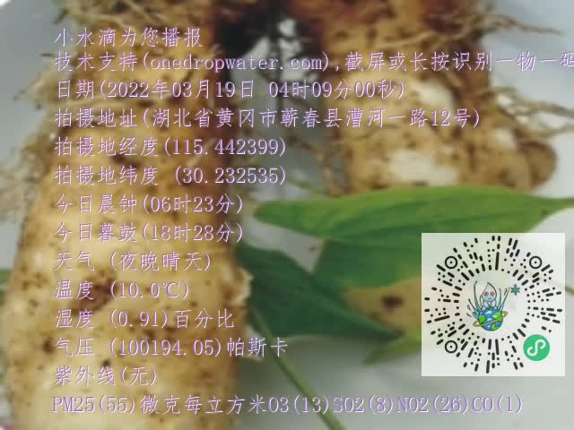 0.mp4