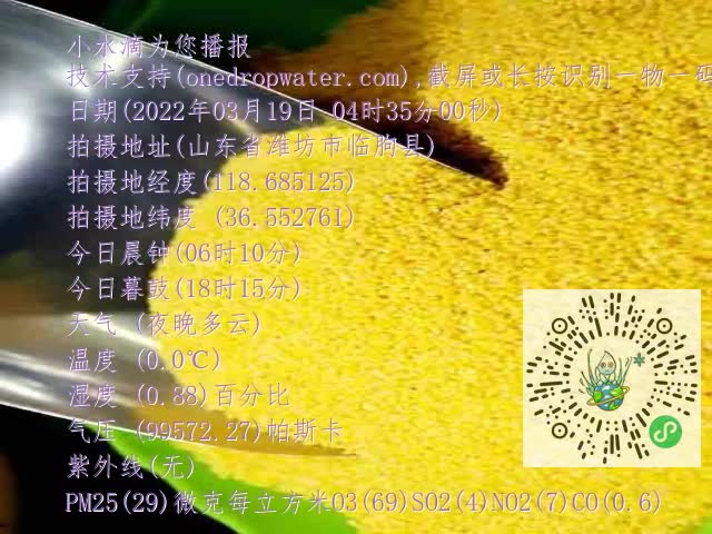 0.mp4