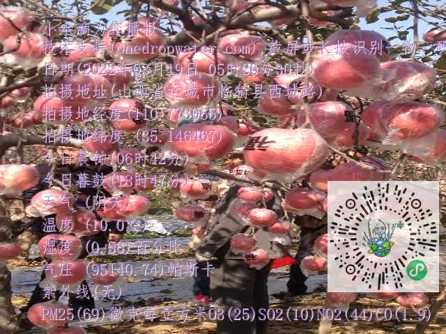 0.mp4