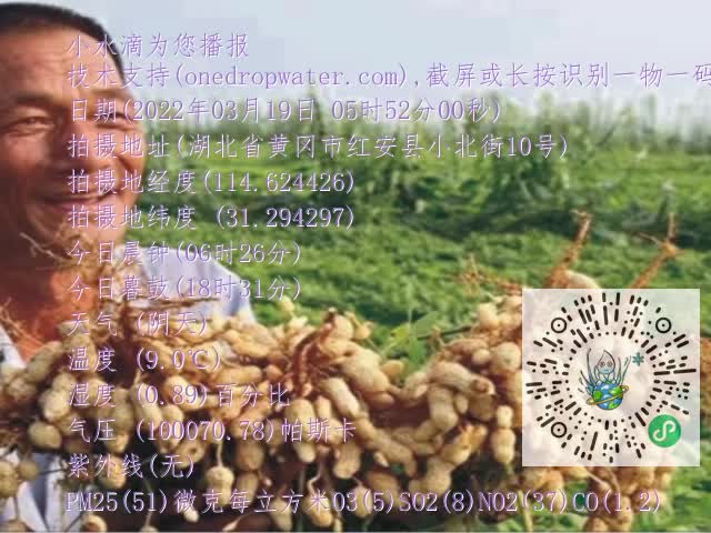 0.mp4