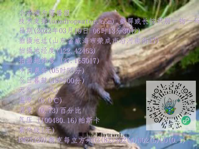 0.mp4