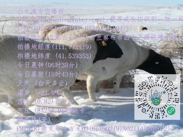 0.mp4