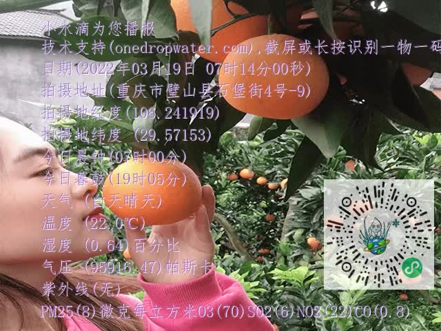 96a0d8a4fac7cc681ab80980a6e40eda.mp4