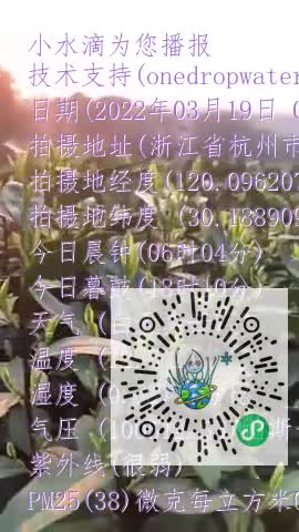 FiY5y00PPoR5fnP24Ck-f-CiZx37mp4