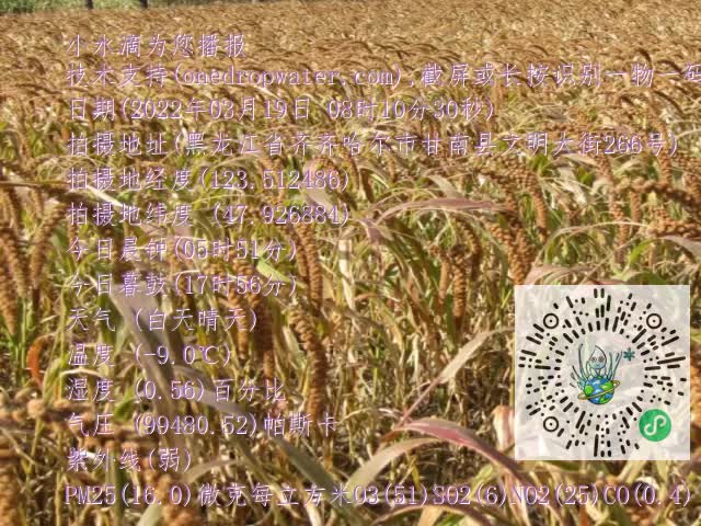 0.mp4