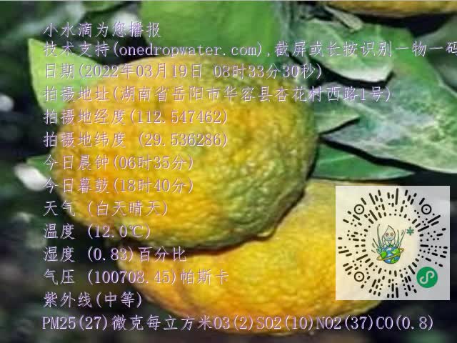 0.mp4