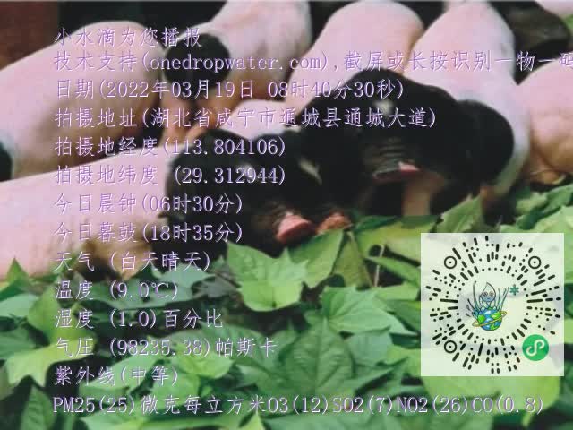 0.mp4