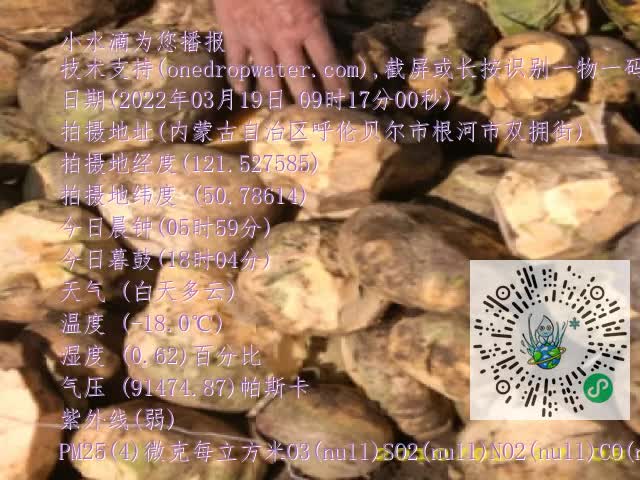 0.mp4