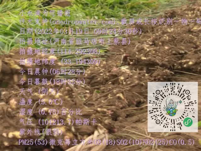 0.mp4