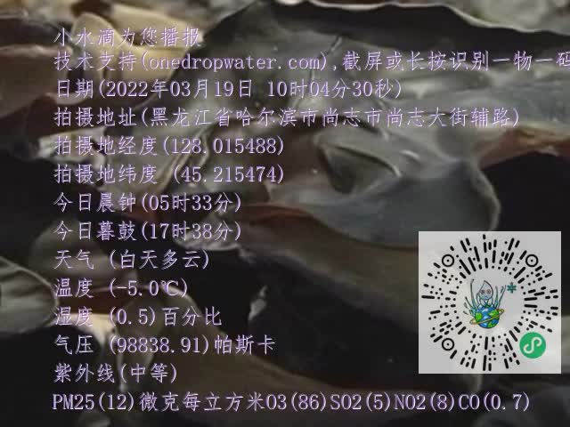 0.mp4