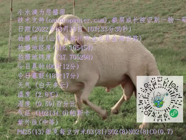 0.mp4