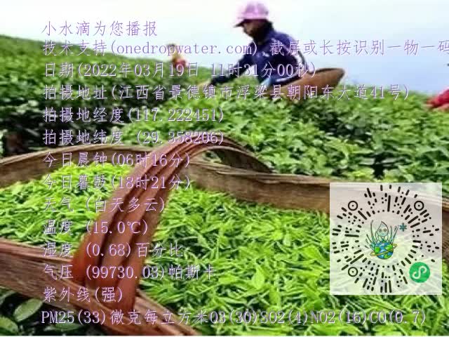 0.mp4