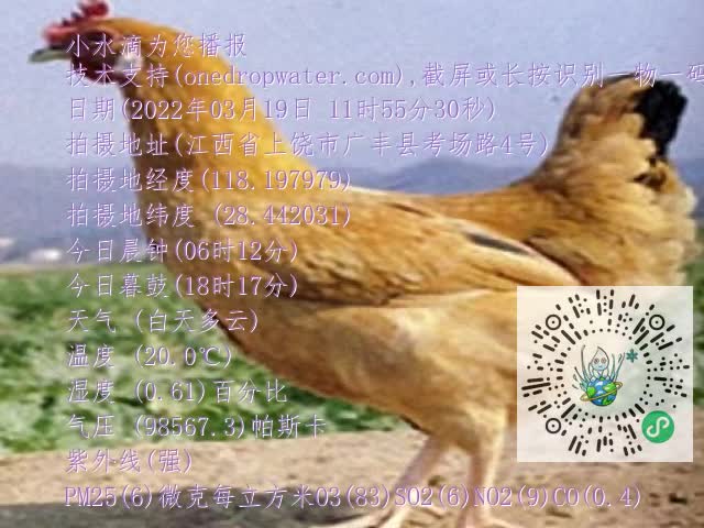 0.mp4
