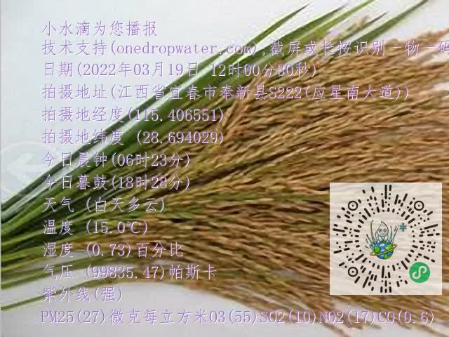 0.mp4