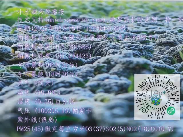 0.mp4