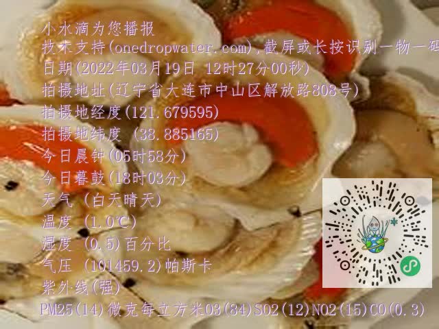 0.mp4