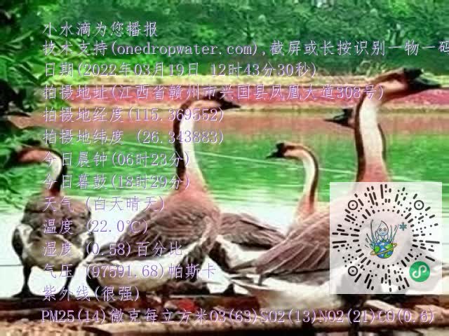 0.mp4