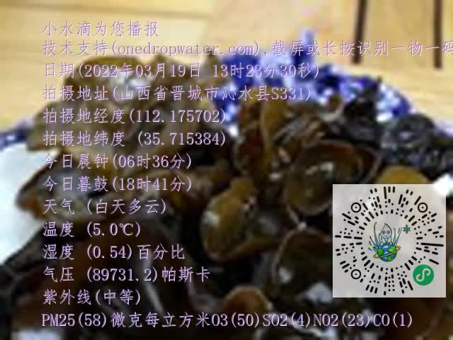0.mp4