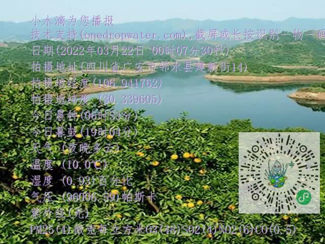 710dd9a2bbdcc7f599e8cf216ccee0a4.mp4