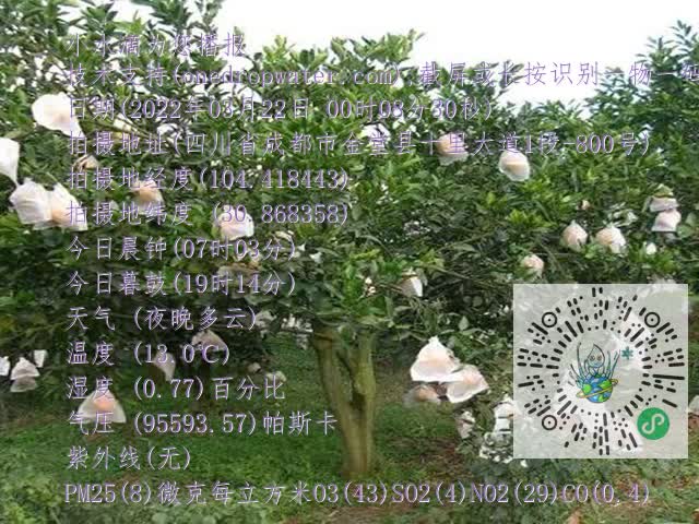 cbf8153904b560875ce45f0c0f7c89b0.mp4
