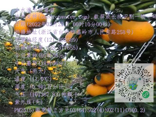 dcb54634031d6cd8388b95b924b82b1f.mp4