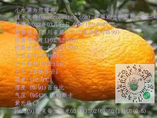 fcd7ad02a655962e6ab6a61dd021584d.mp4