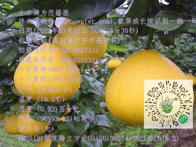9f39d7d4e40f5547f9f476f959bff4f0.mp4