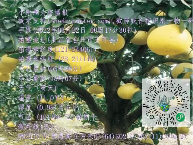 58baec20582cfd55aeb86239075ed9c7.mp4