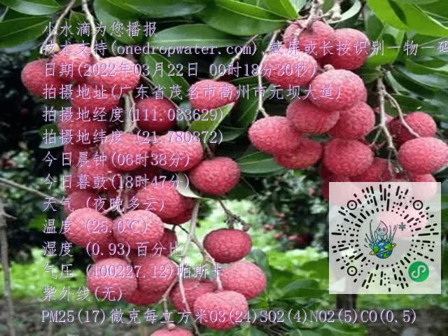 fa89a57207479821c701b64d8ff32aa6.mp4