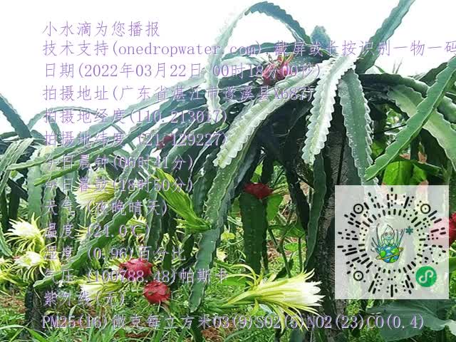 7e9a1e27ad1aa5fc3bd75c59ea50888e.mp4