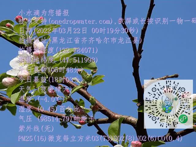 d77827fd2f4aa417a715d1dc90323eb3.mp4