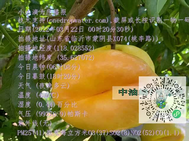ca787f73a8798aa43d40934c56412274.mp4