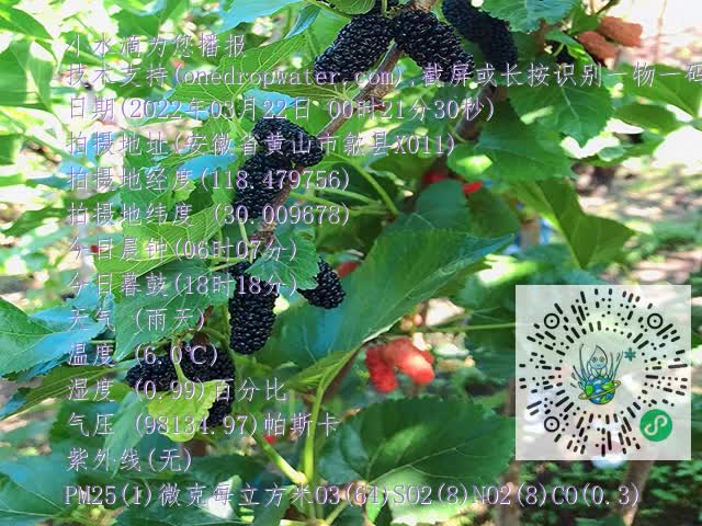 18053b670e2cd33b08f50659850fbd57.mp4