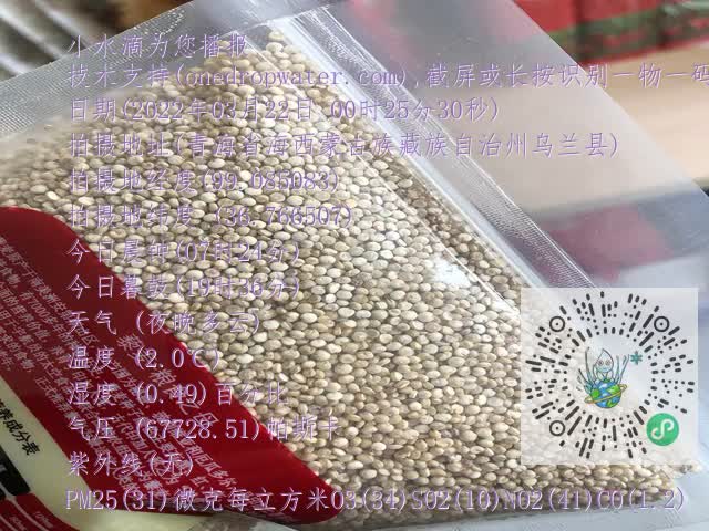 f54041257ae528c1cb15dac07cb202dc.mp4