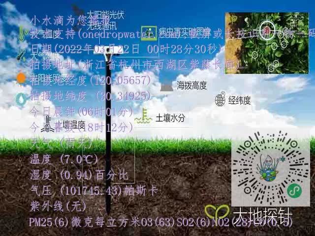 c5f5e29d78ef5b5e9254e5c36352b567.mp4