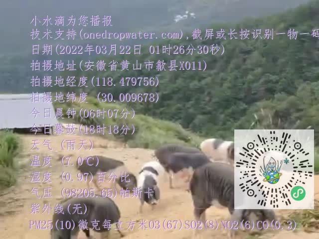 7756d8ddc8a2b12d0eee5752912e28e7.mp4