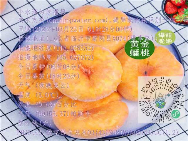 eb2517188eb79a5698f0d412debb4b44.mp4