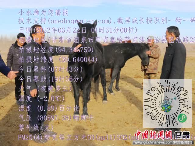 0.mp4