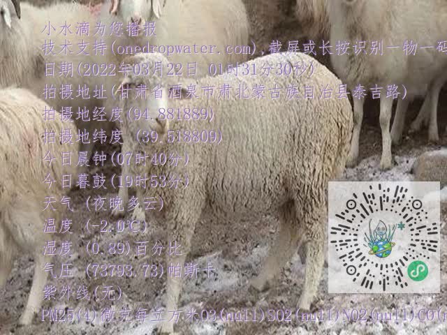 0.mp4