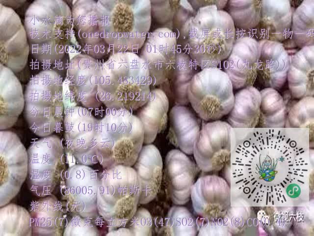 0.mp4