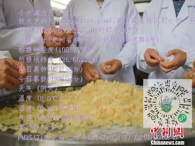 0.mp4