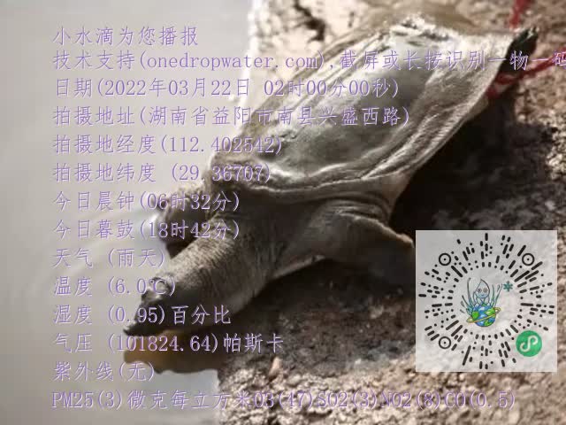 0.mp4