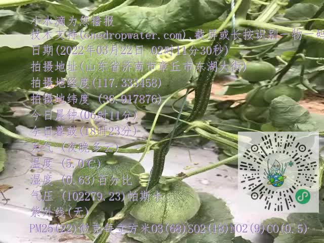 0.mp4