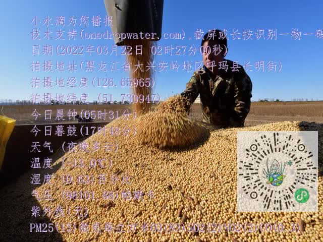 0.mp4