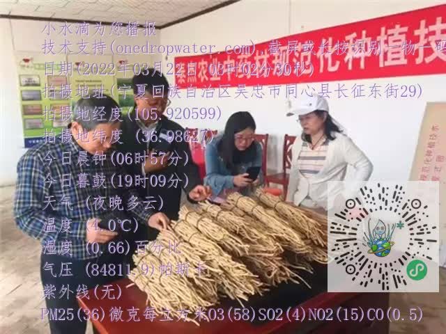 0.mp4