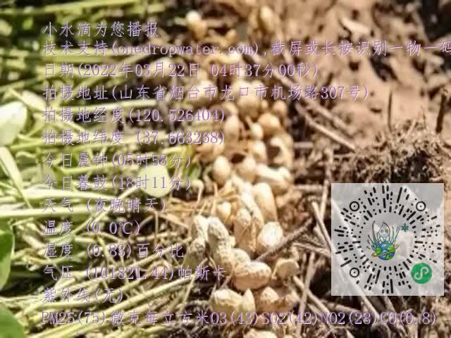 0.mp4