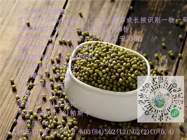 0.mp4
