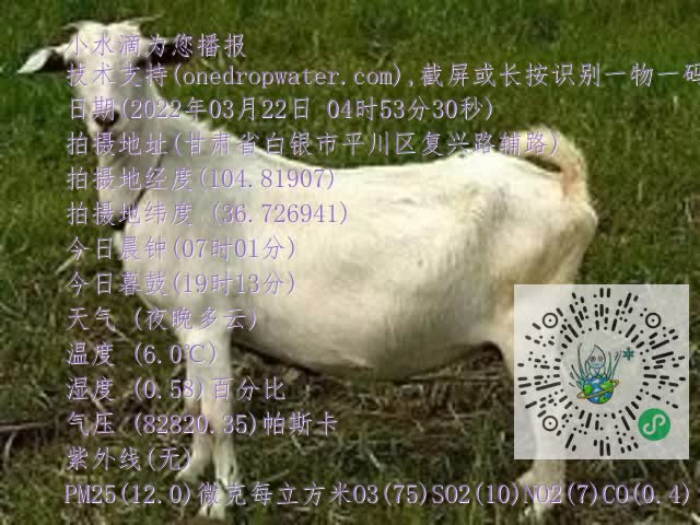 0.mp4