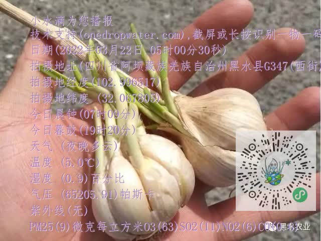 0.mp4